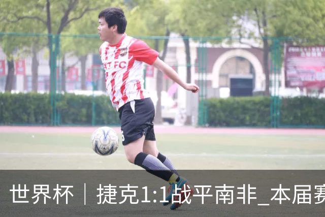 世界杯｜捷克1:1战平南非 本届赛事最快进球诞生