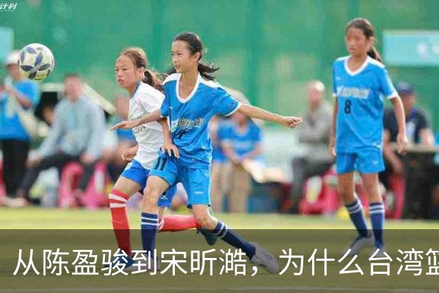 从陈盈骏到宋昕澔，为什么台湾篮球盛产优秀后卫？