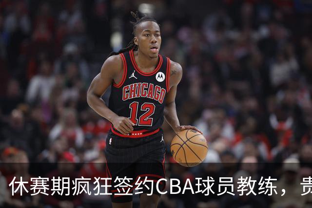 休赛期疯狂签约CBA球员教练，贵州猛龙一掷千金剑指CBA