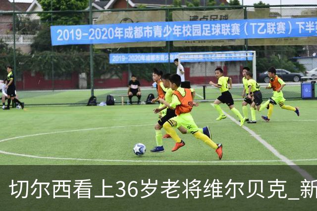 切尔西看上36岁老将维尔贝克 新帅阿隆索主导转会思路大转弯