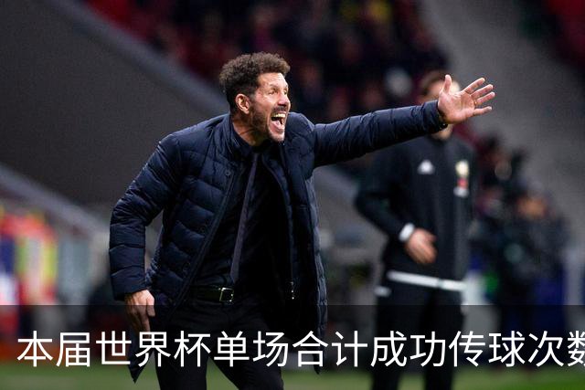 本届世界杯单场合计成功传球次数前十比赛：阿根廷vs佛得角居首