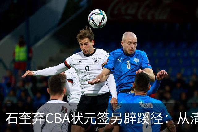 石奎弃CBA状元签另辟蹊径：从清华到香港金牛的职业博弈